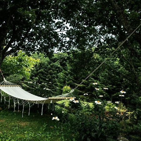 Guesthouse Rodamos 塔克西阿尔希斯 外观 照片