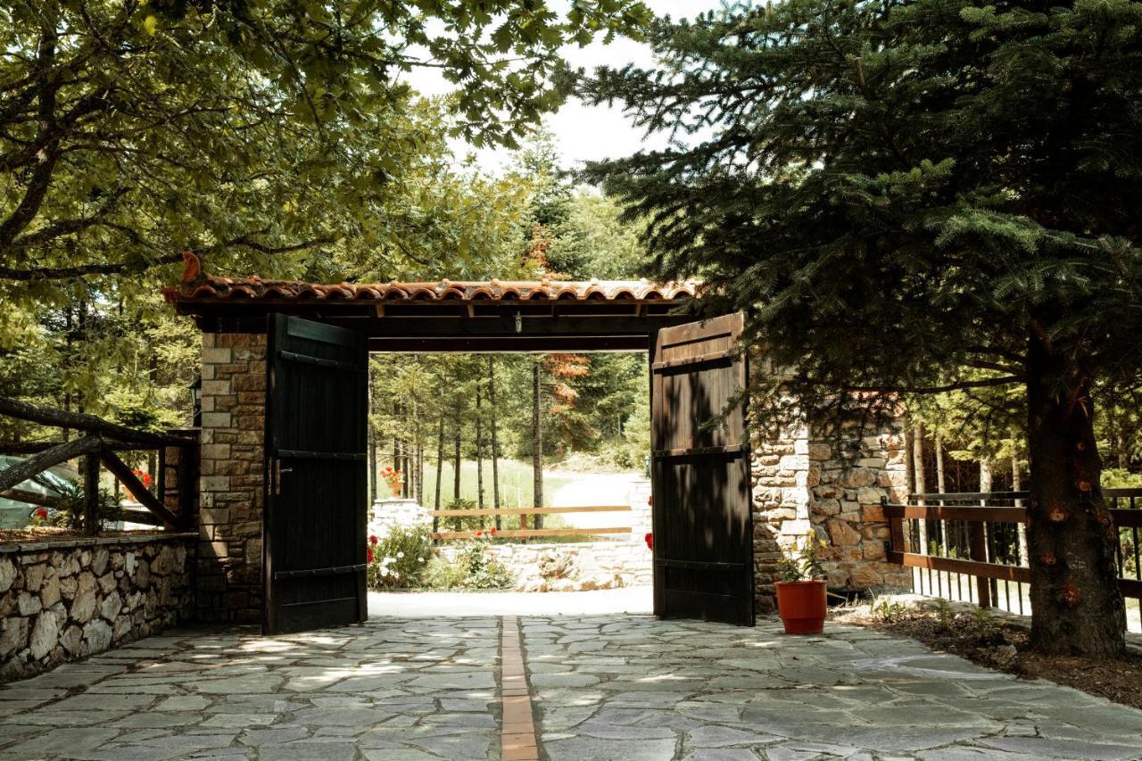 Guesthouse Rodamos 塔克西阿尔希斯 外观 照片